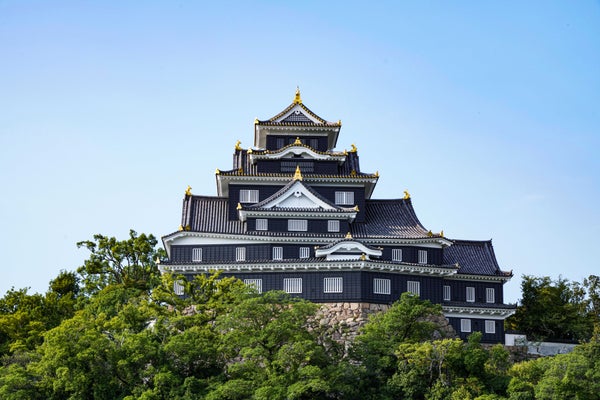 【新大阪・新神戸・姫路・岡山駅発】 ロマンチック倉敷散策と後楽園・岡山城日帰り3